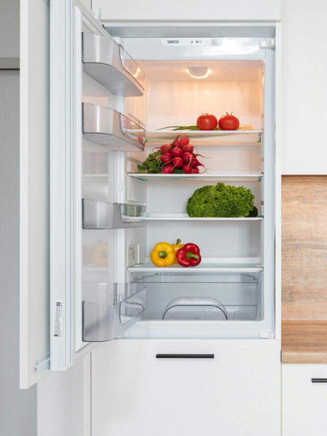 Discover the Magic of Frigidaire Refrigerators- Save Your Monthly Budget